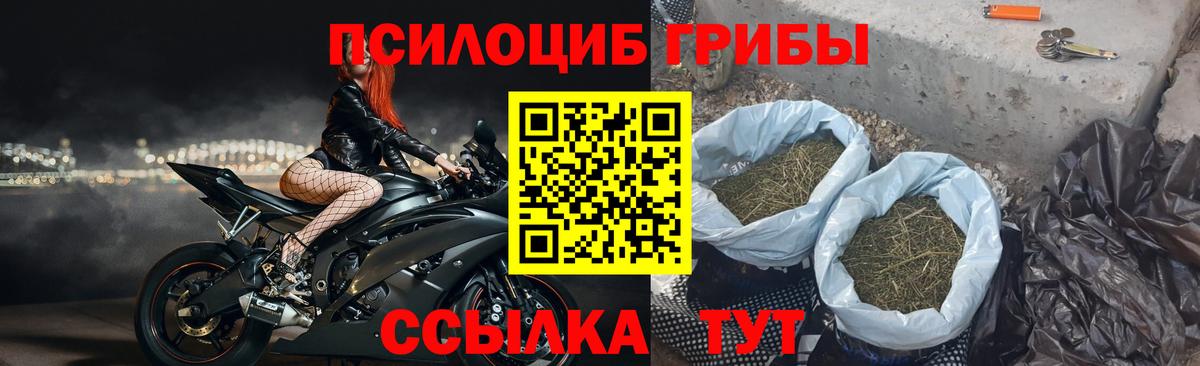 Черемхово  Галлюциногенные грибы Cubensis  Псилоцибиновые грибы мухоморы  Вход с VPN 